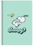 Snoopy Notebook Snoopy Groovy Verde A4 80 Frunze