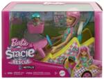 Mattel Papusa Stacie Cu Kart Papusa Barbie