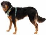 Ruffwear Front Range® Harness hám, Spring Mountains L/XL