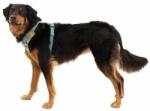 Ruffwear Front Range® Harness hám, River Rock Green XS