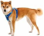 Ruffwear Front Range® Harness hám, Coastal Mountains XXS