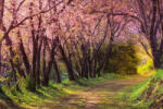 Dimex Vlies Fotótapéta - Pink sakura footpath - 375x250 cm (MS-5-1858)