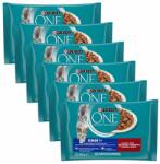 ONE Senior 7+ Multipack 24x85 g