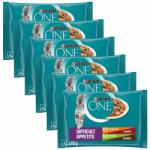 ONE Difficult Appetite 24x85 g