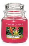 Yankee Candle Lumânare aromatică medie Tropical Jungle 411g