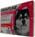 Frontline 6 db