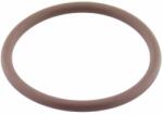 Oring Uszczelnienia Techniczne Garnitura O-ring, FPM, 17mm, 01-0017.00X2.5 ORING 80FPM BROWN