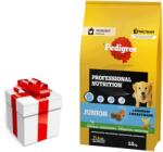 PEDIGREE PEDIGREE® Junior Professional Nutrition 12 kg+ Ingyenes meglepetés