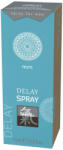 HOT Shiatsu Delay - спрей за задържане на еякулация за мъже - 15ml - lovesexshop