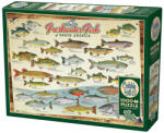 Cobble Hill 1000 db-os puzzle - Freshwater Fish of North America (40181) (40181)