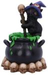 Nemesis Now Statuetă Nemesis Now Adult: Gothic - Spook, 12 cm (U5438T1) Figurina
