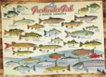Cobble Hill 40181 - Freshwater Fish of North America - 1000 db-os puzzle (40181)