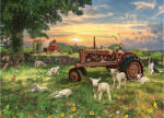 Cobble Hill 40268 - Field at Sunrise - 1000 db-os puzzle (40268)