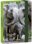 Ars Una Ars Una A5-ös füzetbox Serenity Elephant