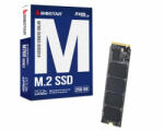 BIOSTAR M760 256GB (M760-256GB)