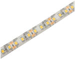 Avide Led Szalag 12V 24W 3000K Ip65 5M / 1 Méter (ABLS12V2835-120WW65)