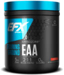 EFX Sports Training Ground EAA 213 gr - proteinemag