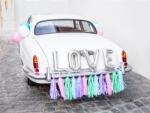 PartyDeco Decorațiune nuntă pentru mașină - Love
