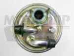 MOTAQUIP filtru combustibil MOTAQUIP VFF462 (VFF462) - automobilus