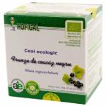 Hofigal Ceai Ecologic de Coacaz Negru Frunze 25 plicuri Hofigal