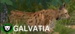 Dev.studio Galvatia (PC) Jocuri PC