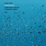 ECM Vijay Iyer - Compassion