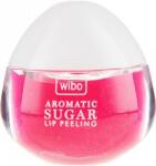 Wibo Exfoliant pentru buze Aromatic Sugar, 11 ml