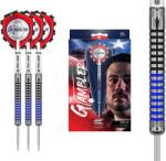 Target Danny Baggish Tungsten 21G Darts - Multi