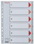 Esselte Index Esselte, plastic, reciclabil, A4, 1-6, gri (ESS100104)
