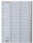 Esselte Index Esselte, plastic, reciclabil, A4, 1-54, gri (ESS100109)