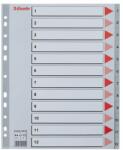 Esselte Index Esselte plastic A4 MAXI 1-12 gri (ESS100125)