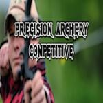 Salsawi Games Precision Archery Competitive (PC) Jocuri PC