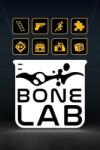 Stress Level Zero BONELAB (PC) Jocuri PC