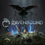 Systemic Reaction Ravenbound (PC) Jocuri PC