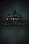 Paradox Interactive Pillars of Eternity Royal Edition Upgrade Pack (PC) Jocuri PC