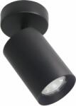 Zuma Line Tore lampă de tavan 1x50 W negru TLS006-BK (TLS006BK)