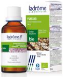 LADROME Tinctura Bio de Alga Marina Bruna, 50ml, Ladrome Laboratoire