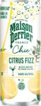 Perrier Chic Citrus Fizz 250 ml