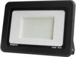 BRAYTRON Proiector Led 100W 6500K 8500lm IP65 (BR-BT60-39131)