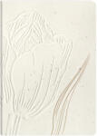 Clairefontaine füzet (A6, 64 lap, sima) Tulip paper (4) (813067C)