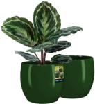 Kotarbau Ghiveci de flori din ceramică smălțuită plante verzi 26 cm set de 2 buc (ZSY3040)