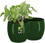 Kotarbau Ghiveci de flori din ceramică smălțuită plante verzi 10 cm set de 2 buc (ZSY2987)
