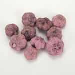  Termés fokhagyma mályva 10db/cs