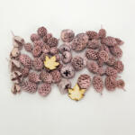  Természetjáró gyűjtemény rózsaszín