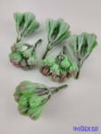  Gumis kaktusz 9, 5 cm - Hamvas