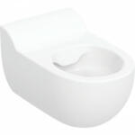 Geberit Bambini gyermek fali kerámia WC mélyöblítésű, Rimfree, ülőke rögzítési lyukai nélkül 502.959. 00.2 (502959002) (502.959.00.2 ;)