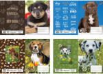 T-Creativ Füzetborító betétes T-Creativ 4x5 db Puppies kutyakölykök (N12067TPU)