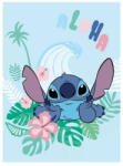  Disney Lilo és Stitch, A csillagkutya Aloha coral fleece takaró 110x150cm (AYM073959)