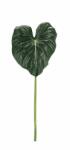 Bizzotto Set 6 frunze Philodendron artificial 38x3x87 cm (0170743)