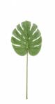 Bizzotto Set 24 frunze Philodendron artificial 87 cm (0170732)